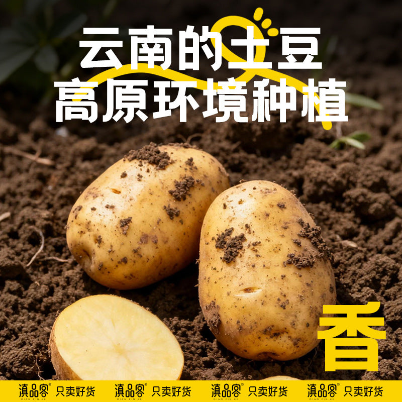 Dian Pinke Agricultural Science Institute original sliced potato chips 50g, Yunnan and Guizhou specialty potato chips, small pack, craving relief snack wholesale