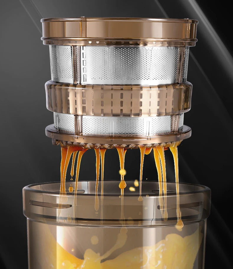 Commercial Use Big Power 1200W Large Inlet Slow Juicer Machine Whole Fruit Apple Pear Orange Cold Press Stainless Steel