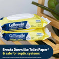 Cottonelle Summer Fresh Scented Flushable Wipes, 2 Packs, 42 Wipes per Pack