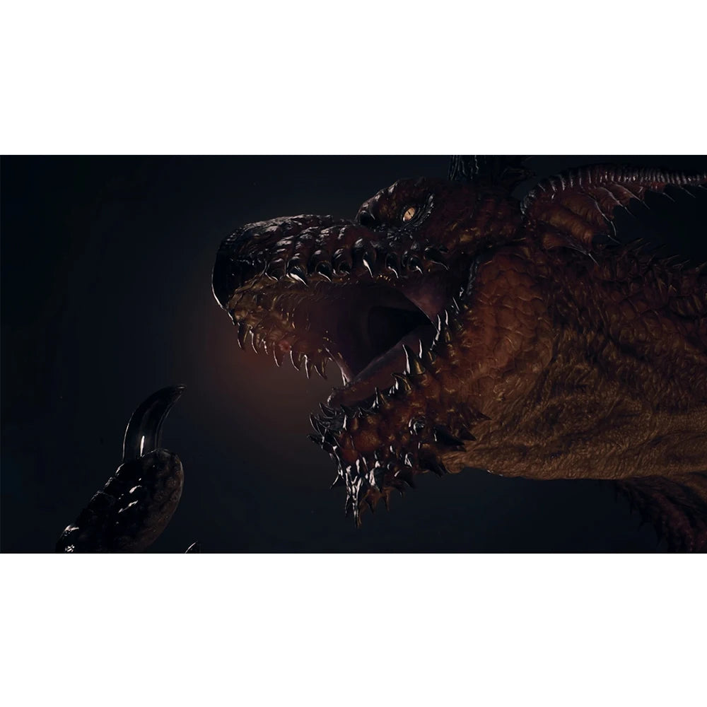 Nintendo Switch2  Game -Dragon's Dogma 2 Dark Arisen - Games Physical Cartridge for Nintendo Switch OLED Lite