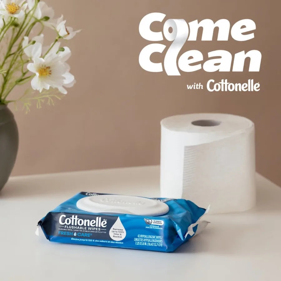 2pk Flushable Wet Wipes, Total 42ct Gentle Disposable Cleansing Wipes for Bathroom Personal Care