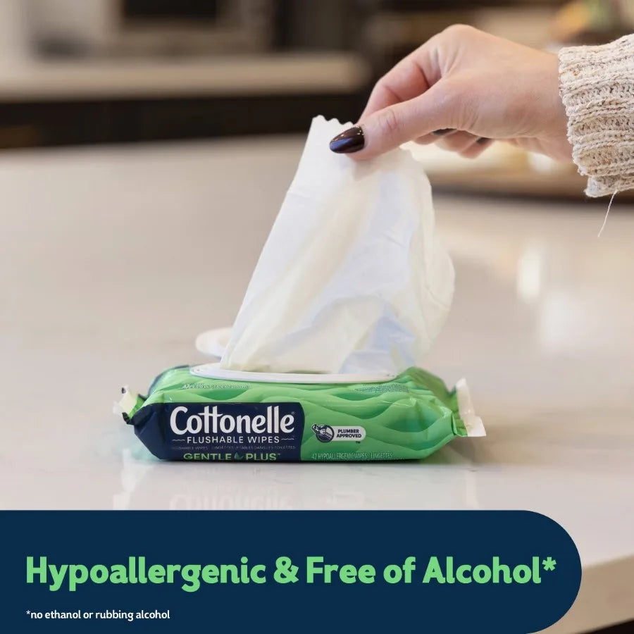 GentlePlus Flushable Wipes - 2pk/42ct
